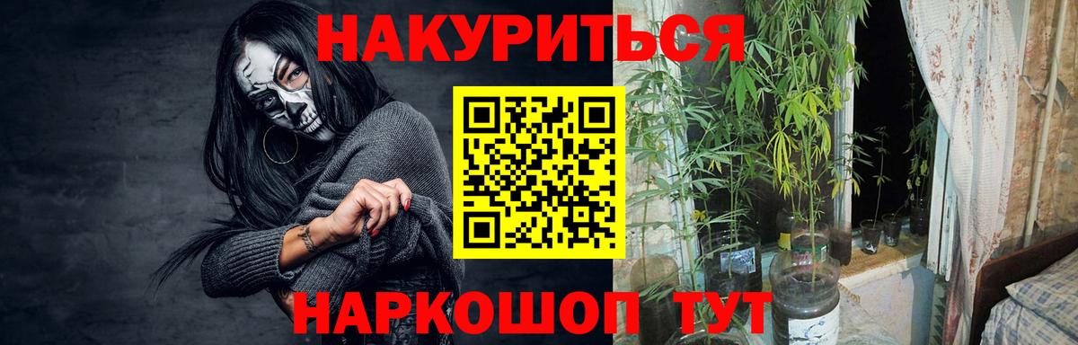 Шишки марихуана сатива Дальнереченск
